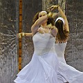 BDJ_7440