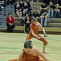 BDJ-5230