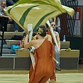 BDJ-5334