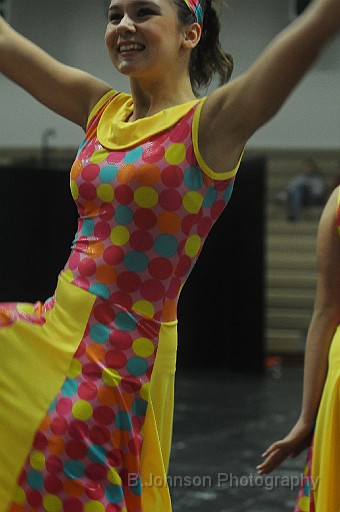 BDJ-2011.jpg