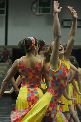 BDJ-2015.jpg