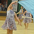 BDJ-4028
