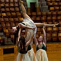 BDJ_3443