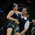 BDJ_7910