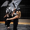 BDJ_8639