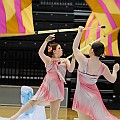 BDJ_8104