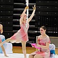 BDJ_8133
