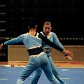 BDJ_0098