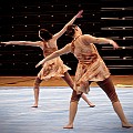 BDJ_6579