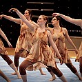 BDJ_6748