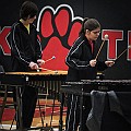 BDJ_5197