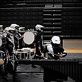 BDJ_5743
