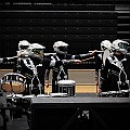 BDJ_5775