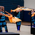 BDJ_9092