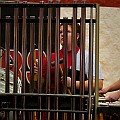 BDJ_2712