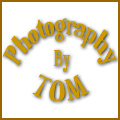 Photography by Tom