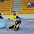 TEB-0155